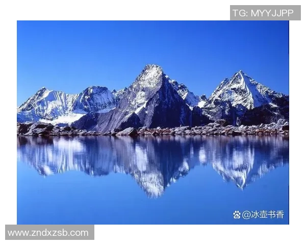 姚明如同一座高耸入云的山峰展现出无与伦比的力量与优雅